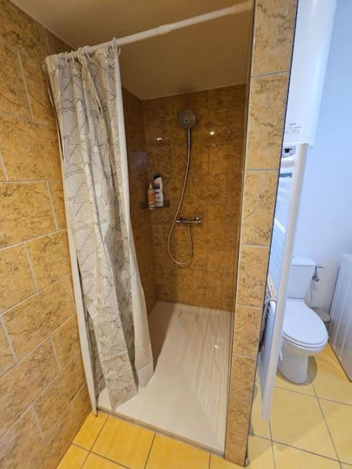 Apartamento La Petite Bulle Villeneuve-sur-Yonne Exterior foto